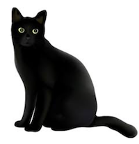 black-cat-2